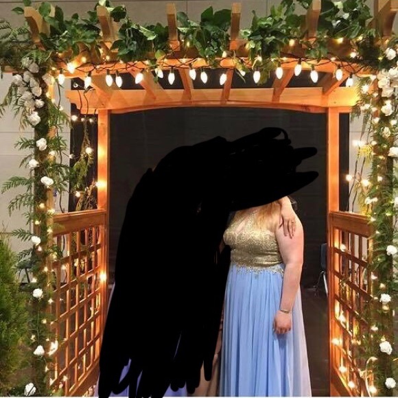 Prom/Graduation Dress - Picture 8 of 8